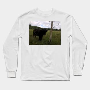 Scottish Highland Cattle Bull 1459 Long Sleeve T-Shirt